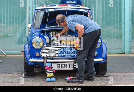 Brighton, Regno Unito. Il 20 maggio 2018. Centinaia di Mini automobili e dei loro proprietari parcheggiato lungo la Brighton Seafront come essi prendono parte in Londra a Brighton Mini Run 2018 . La manifestazione è organizzata dalla London & Surrey Mini Owners Club e le automobili auto giù dal Crystal Palace di Londra Sud a Madeira unità credito Brighton: Simon Dack/Alamy Live News Foto Stock