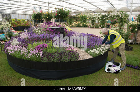 Royal Hospital Chelsea, Londra, Regno Unito. 20 Maggio, 2018. Preparativi finali per composizioni floreali e mostrano giardini nel sole caldo di un giorno prima del 2018 RHS Chelsea Flower Show si apre per i media di tutto il mondo e due giorni prima dell'evento pubblico il 22 maggio. Credito: Malcolm Park/Alamy Live News. Foto Stock