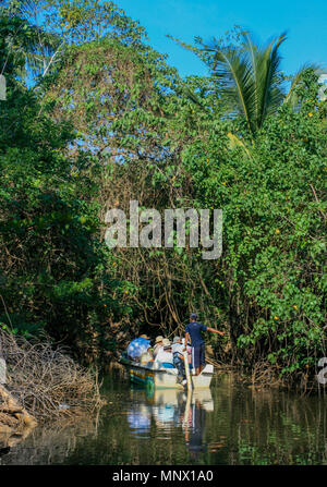 Barca sul fiume in Sri Lanka Foto Stock