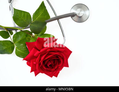 Stetoscopio in argento e grigio con rosa rossa con foglie verdi su sfondo bianco, vista dall'alto Foto Stock