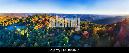 Antenna di ampio panorama di autunnale di lasciare gli alberi in Mount Wilson città di Blue Mountains, Australia. Cielo blu chiaro e luminoso raggi del sole nascente sulla rete CAN Foto Stock