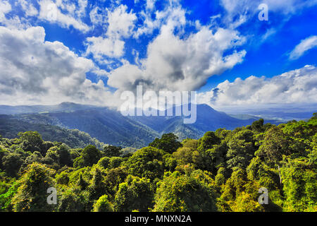 Verde e lussureggiante baldacchino della foresta pluviale gondwana in DOrrigo parco nazionale come si vede dal belvedere principale verso la montagna lontana sotto il blu cielo luminoso. Foto Stock