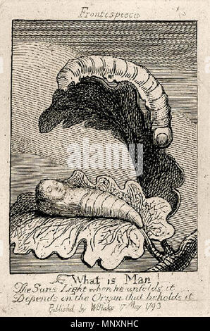 . Inglese: le porte del Paradiso di William Blake copia D, oggetto 1 . 27 settembre 2012, 11:29:26. William Blake (1757-1827) nomi alternativi W. Blake; Uil'iam Bleik Descrizione British pittore, poeta, scrittore, teologo, collezionista e incisore, Data di nascita e morte 28 novembre 1757 12 agosto 1827 Luogo di nascita e morte Broadwick Street Charing Cross sede di lavoro London Authority control : Q41513 VIAF: 54144439 ISNI: 0000 0001 2096 135X ULAN: 500012489 LCCN: N78095331 NLA: 35019221 WorldCat 1174 i cancelli del paradiso da William Blake -1 Foto Stock