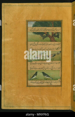 Gli uccelli di Hindustan: Mazze e anatre . Inglese: questa custodia folio da Walters manoscritto W.596 raffigura uccelli di Hindustan: mazze e anatre. . Il XVI secolo D.C. (Mughal Timurid;). Babur (1483-1530) nomi alternativi Zahir-ud-din Muhammad Babur, Baber, Babar, فارسی: Descrizione بابر Uzbekistani imperatore imperatore Mughal Data di nascita e morte 14 Febbraio 1483 26 dicembre 1530 Luogo di nascita e morte di Andijan Autorità di Agra controllo : Q797848 VIAF: 97090468 ISNI: 0000 0001 0845 1285 ULAN: 500212753 LCCN: N50053659 GND: 118841807 WorldCat 1280 Zahir al-Din Muhammad Babur - Uccelli di Hindustan - Pipistrelli un Foto Stock