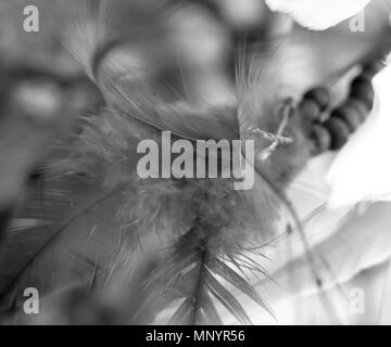 Piume pendente da un Dreamcatcher. Foto Stock