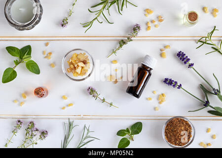 Bottiglie di olio essenziale di incenso, lavanda, timo e altre erbe aromatiche fresche Foto Stock