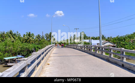 Rurale scena con il ponte nel Delta del Mekong, Vietnam. Foto Stock