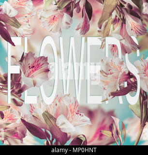Parola fiori fatti di carta su sfondo floreale con vari battenti fiori. Layout creativi con testo Foto Stock