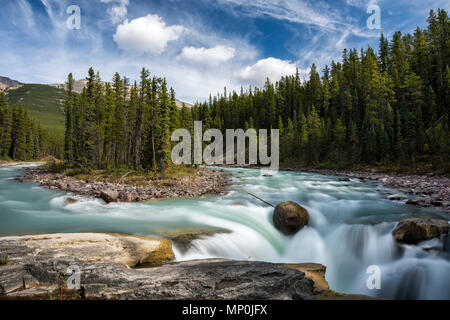 Cascata Sunwapta Falls, Icefields Parkway, Highway 93, Sunwapta Fiume, Parco Nazionale di Jasper, montagne rocciose, Alberta, Canada Foto Stock