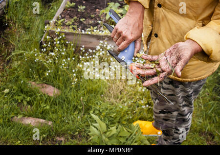 Tagliate il colpo di una donna azienda giardino forbici in mani sporche Foto Stock