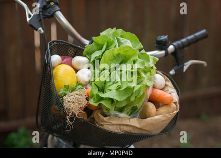 Cesto con verdure fresche in bici dettaglio Foto Stock