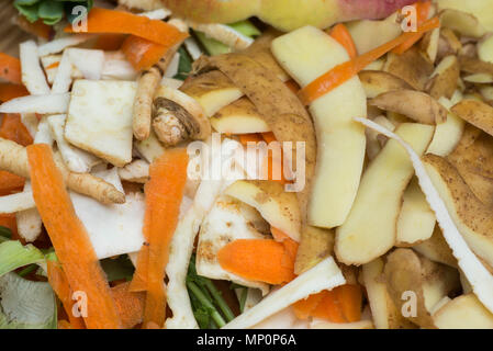 Pila di marciume cucina frutta e scarti vegetali per il compost Foto Stock