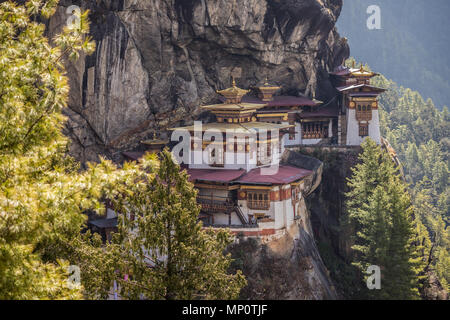 Vista del Tigri Nest Bhutan Foto Stock