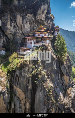 Le Tigri nido in Bhutan Foto Stock