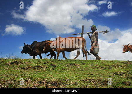 Silhouette di agricoltori di andare al campo per arare terre in un villaggio in Patoakhali, Bangladesh. L'agricoltura è un importante fonte di occupazione in Bangla Foto Stock