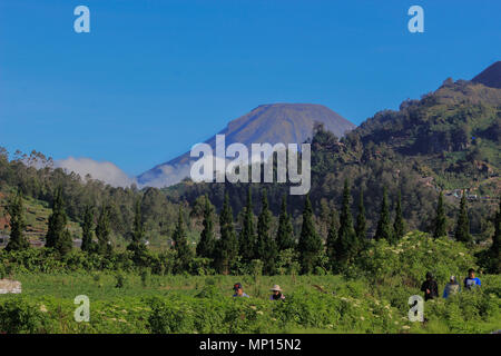 Il dieng plateau e monte prau è uno dei più belli destinazione nel centro di Giava, in Indonesia Foto Stock