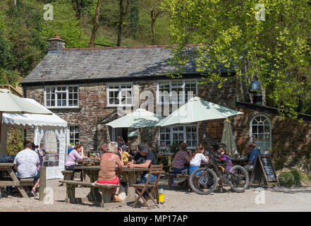 I visitatori, le persone, i turisti presso il cafe in cardinham boschi, Cornwall, Inghilterra, britainb, Regno Unito, Foto Stock