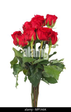 Bouquet di rose rosse isolato su sfondo bianco Foto Stock