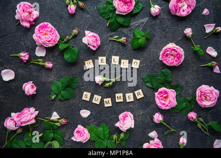 Ciao Estate scritta da lettere di legno e fresca tè rosa rose fiori sulla pietra scuro dello sfondo. Lettering stagione estiva. Layout creative design concept. Morbida messa a fuoco selettiva. Foto Stock