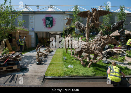 Royal Hospital Chelsea, Londra, Regno Unito. 20 Maggio, 2018. Preparativi finali per composizioni floreali e mostrano giardini nel sole caldo di un giorno prima del 2018 RHS Chelsea Flower Show si apre per i media di tutto il mondo e due giorni prima dell'evento pubblico il 22 maggio. Credito: Malcolm Park/Alamy Live News. Foto Stock