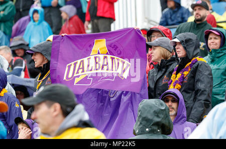 Uniondale, NY, STATI UNITI D'AMERICA. 19 Maggio, 2018. I fan di Albany pregame come UAlbany maschile di Lacrosse sconfigge Denver 15-13 Maggio su 19 nel torneo del NCAA Quarti di finale. Credito: csm/Alamy Live News Foto Stock