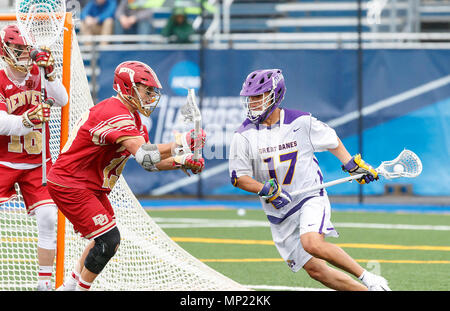 Uniondale, NY, STATI UNITI D'AMERICA. 19 Maggio, 2018. Jakob Patterson (#17) attacca come UAlbany maschile di Lacrosse sconfigge Denver 15-13 Maggio su 19 nel torneo del NCAA Quarti di finale. Credito: csm/Alamy Live News Foto Stock