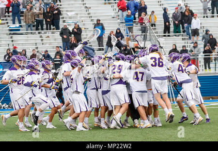 Uniondale, NY, STATI UNITI D'AMERICA. 19 Maggio, 2018. Albany giocatori festeggiare la vittoria. UAlbany maschile di Lacrosse sconfigge Denver 15-13 Maggio su 19 nel torneo del NCAA Quarti di finale. Credito: csm/Alamy Live News Foto Stock