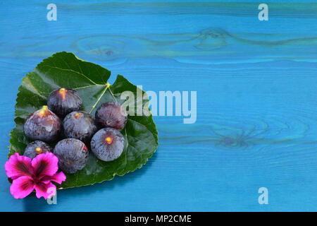 Sette Blu maturi fichi e fiore rosa su grandi foglie di gelso blu su sfondo di legno con copia spazio, vista da sopra Foto Stock