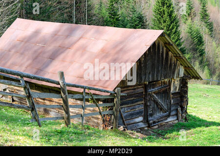 Vecchio Granaio in legno sulla periferia della foresta. Tra le montagne dei Carpazi in Ucraina. All'esterno. Close-up. Foto Stock