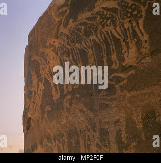Incisioni rupestri in Niger, Africa Foto Stock