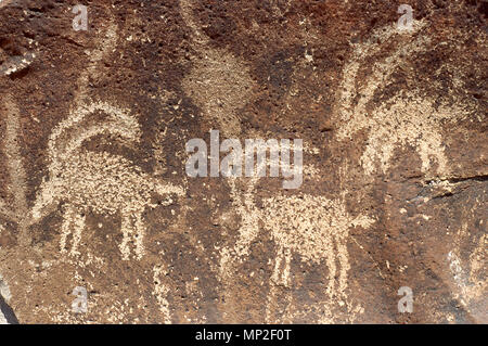 Petrogylphs nel deserto di Mojave in California Foto Stock