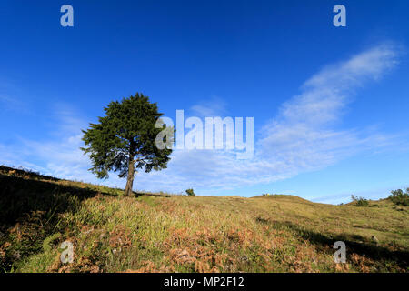 Montare prau e arjuna tempio in dieng plateau java centrale Foto Stock