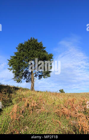 Montare prau e arjuna tempio in dieng plateau java centrale Foto Stock