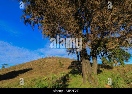 Montare prau e arjuna tempio in dieng plateau java centrale Foto Stock