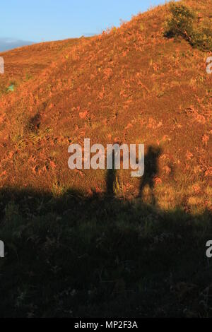 Montare prau e arjuna tempio in dieng plateau java centrale Foto Stock