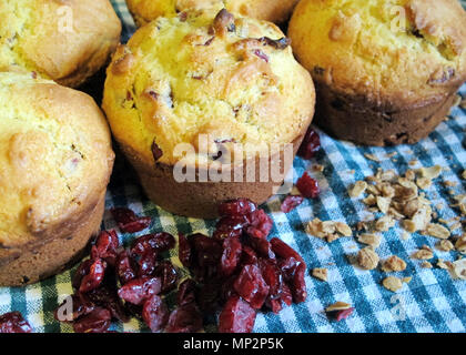 Mirtillo palustre di farina di avena Colazione muffin su sfondo di blu-verde Gingham Foto Stock