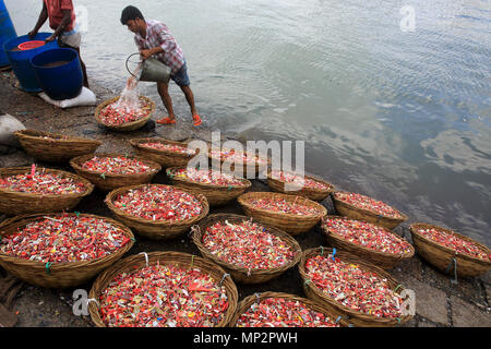 Plastica riciclata chips lavaggio sulla banca del fiume Buriganga a Dhaka, nel Bangladesh. Foto Stock