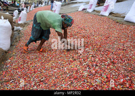 Plastica riciclata essiccamento chips sulla banca del fiume Buriganga a Dhaka, nel Bangladesh. Foto Stock