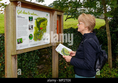 Una donna la lettura della 'vicino alla natura' bacheca sul Bolton Abbey Estate, North Yorkshire, Regno Unito. Foto Stock