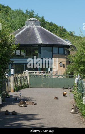 Centro visitatori a Arundel Wildfowl and Wetland Trust Foto Stock