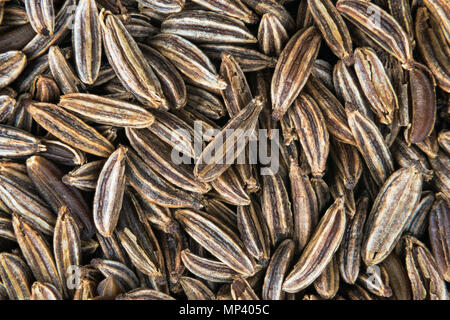 Semi di cumino close-up. Sfondo di spezie. Carum carvi. Bella tessitura armonica. Pila di strisce marrone stagionatura. Essiccato fragrante di grani di cumino dettaglio. Foto Stock