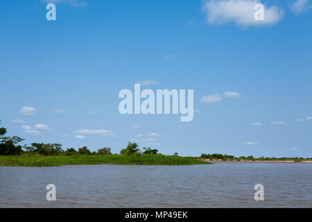 Panorama da Pantanal, Brasiliano regione delle paludi. Laguna navigabile. Sud America landmark Foto Stock