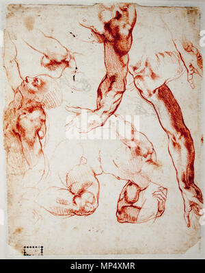 Inglese: studi di figure e degli arti . Disegno di Michelangelo nel Teylers Museum (fax) . circa 1511. 888 Michelangelo - Studi di figure e degli arti Foto Stock