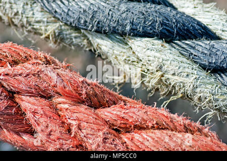 Funi di ormeggio in colori contrastanti sotto sollecitazione su Scarborough del porto di scalo. Foto Stock