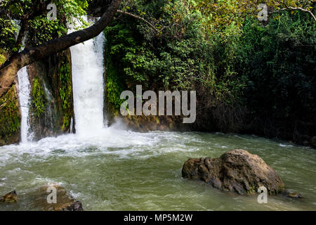 Banyas cade sul flusso di hermon nel Golan di Israele Foto Stock