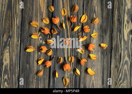 Asciugare i petali e fiori disposti in un cerchio su un sfondo di legno Foto Stock