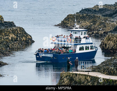 Passeggeri a maggio la principessa imbarcazione turistica, girando in partenza Isola di maggio, scozzese patrimonio naturale riserva naturale, Scotland, Regno Unito Foto Stock