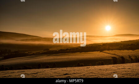 Highlands scozzesi, Scozia, Regno Unito - sorge sulle colline ondulate di Glenlivet Foto Stock