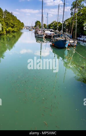 Precedentemente un dock di lavoro spedizioni di carbone dalla Foresta di Dean, Lydney Dock sta diventando un rifugio per la gente del posto per rilassarsi e godersi il fiume Severn viste. Foto Stock