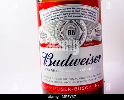 Etichetta della bottiglia di birra Budweiser su sfondo bianco Foto Stock